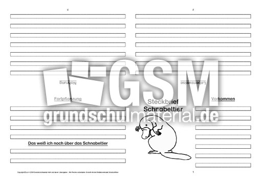 Schnabeltier-Faltbuch-vierseitig-1.pdf
